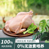 禾田元散养溜达鸡2.3-2.5斤 正宗农家散养 商品缩略图1