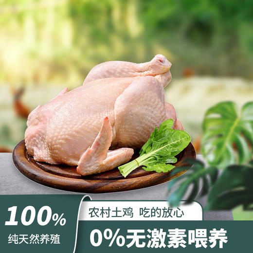 禾田元散养溜达鸡2.3-2.5斤 正宗农家散养 商品图1