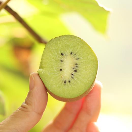 【送1斤】茅箭区唐家村农家黄心猕猴桃3斤装 商品图0