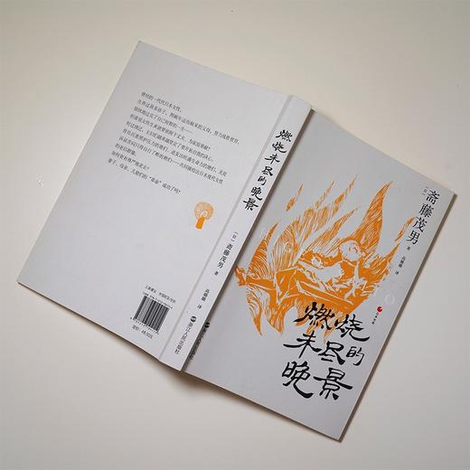 燃烧未尽的晚景 商品图3