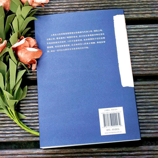 母乳与牛奶：近代中国母亲角色的重塑（1895-1937 商品图2