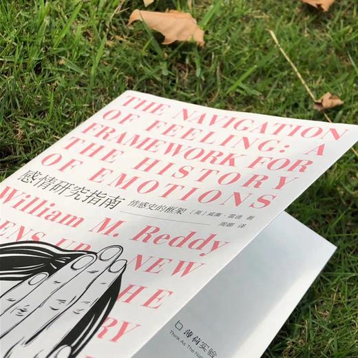 感情研究指南：情感史的框架 商品图2