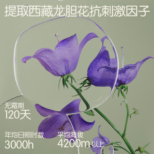 【滋润补水】植护 婴儿面霜宝宝护肤秋冬保湿霜新生专用擦身体乳儿童霜 50g*1瓶 商品图1