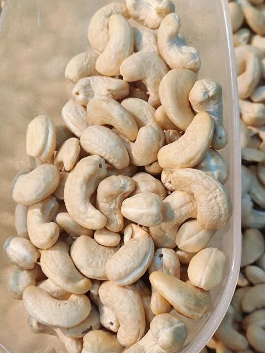 【坚果系列】越南带皮腰果，富有嚼劲，个头饱满，松脆香浓，越吃越好吃！ 商品图1