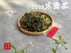 【产量史上zui低】2023年最后一场秋白茶，2023寒露茶吐露幽兰之香，清冷芬芳！ 商品缩略图1