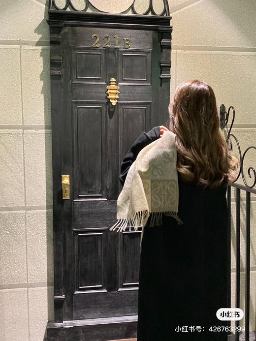 Loewe经典款-奶茶色 商品图1