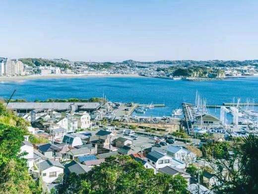 文艺镰仓巡礼（镰仓高校+江之电体验+长谷寺+镰仓大佛）《秋之回忆》《灌篮高手》取景地【4-9人精品小团】 商品图2