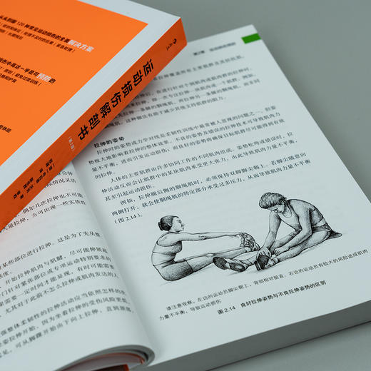 运动损伤解剖书（第2版）  从头到脚囊括14大部位，标靶式解决120种运动伤害 商品图4