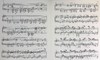 【中商原版】亨乐原版 肖邦 降B小调钢琴奏鸣曲op35 Chopin Klaviersonate b-moll op.35 钢琴独奏 HN289 进口艺术 商品缩略图4