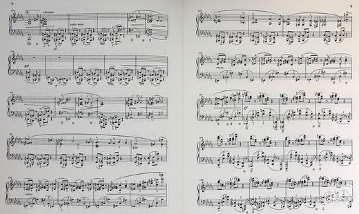 【中商原版】亨乐原版 肖邦 降B小调钢琴奏鸣曲op35 Chopin Klaviersonate b-moll op.35 钢琴独奏 HN289 进口艺术 商品图4