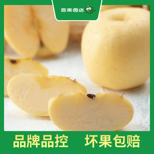 PAGODA百果园 A级-黄金维纳斯苹果5斤礼盒装（净重4.5~5斤） 商品图2