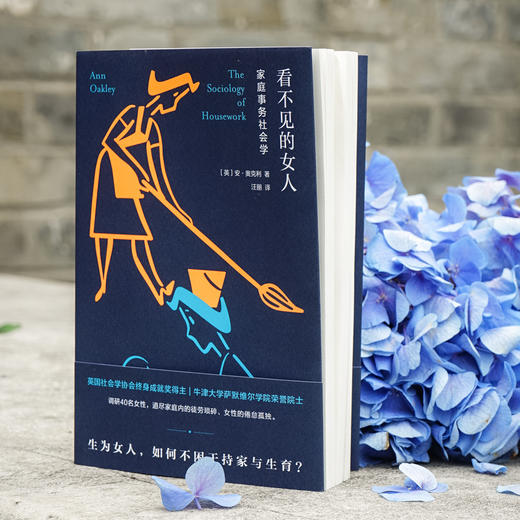 看不见的女人：家庭事务社会学 商品图3