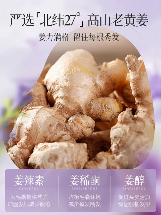 养发液头发际线护理精华营养液剂滋养头发男女生长防脱发正品 商品图3