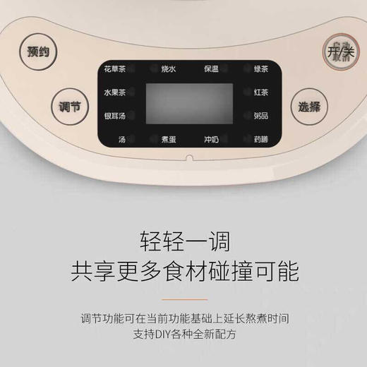 九阳养生壶K15F-WY310 商品图3