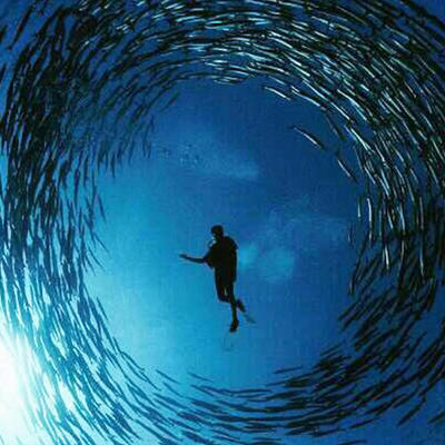 马来西亚仙本那诗巴丹潜水一日游 商品图4