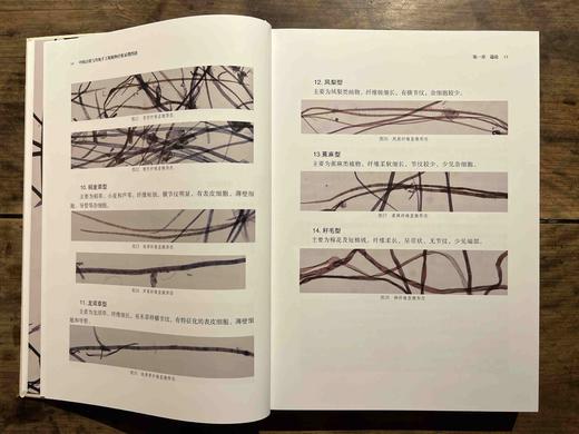 易晓辉签名本《中国古纸与传统手工纸植物纤维显微图谱》，16开，精装，388页，广西师范大学出版社2022年10月一版一印。定价：328.00元，签名本特惠价288元，现货，仅供15册。 商品图9