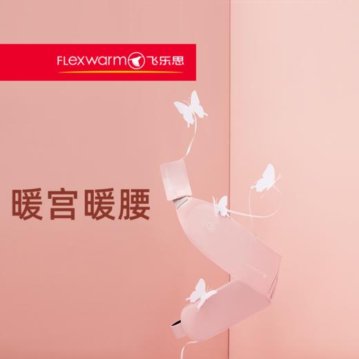 飞乐思专业版前后发热智能护腰暖宫带 商品图3