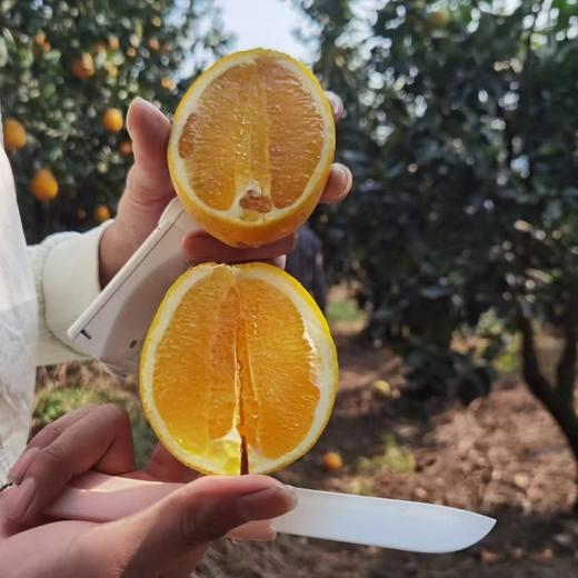 【木瓜蜜丁橙】酸甜爽口 细腻多汁 形状似木瓜 果肉是柳丁 集柳橙的甘甜和菠萝的清香为一体 2种规格任选 商品图2