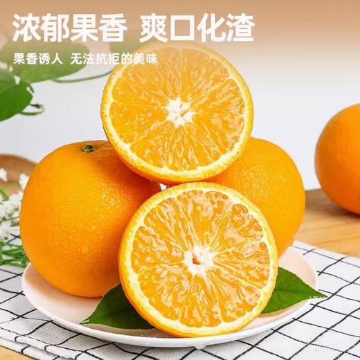 赣南脐橙 约500克【BC】【QC】 商品图0