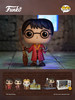 Funko POP Movies Harry Potter Quidditch Harry电影 哈利波特POP公仔哈利波特 魁地奇长袍 5902 商品缩略图1