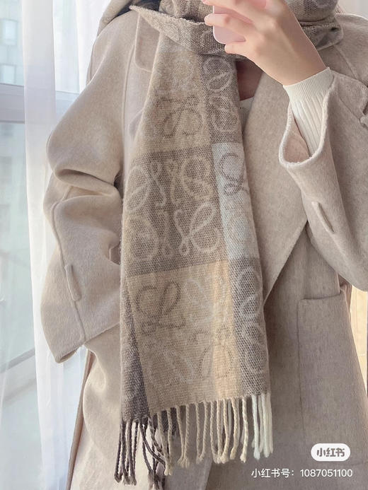 Loewe经典款-奶茶色 商品图5