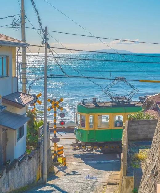 文艺镰仓巡礼（镰仓高校+江之电体验+长谷寺+镰仓大佛）《秋之回忆》《灌篮高手》取景地【4-9人精品小团】 商品图4