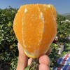 【木瓜蜜丁橙】酸甜爽口 细腻多汁 形状似木瓜 果肉是柳丁 集柳橙的甘甜和菠萝的清香为一体 2种规格任选 商品缩略图3