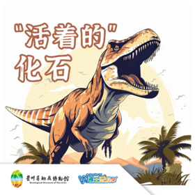 【贵地博】《活着的化石》