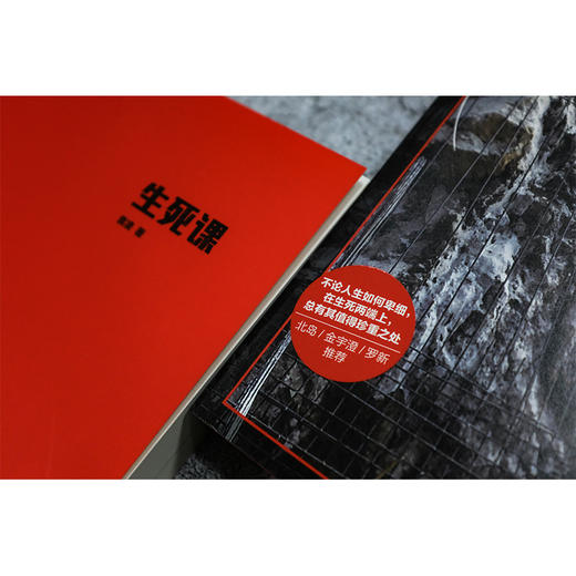 译文纪实·生死课 袁凌 著 商品图6