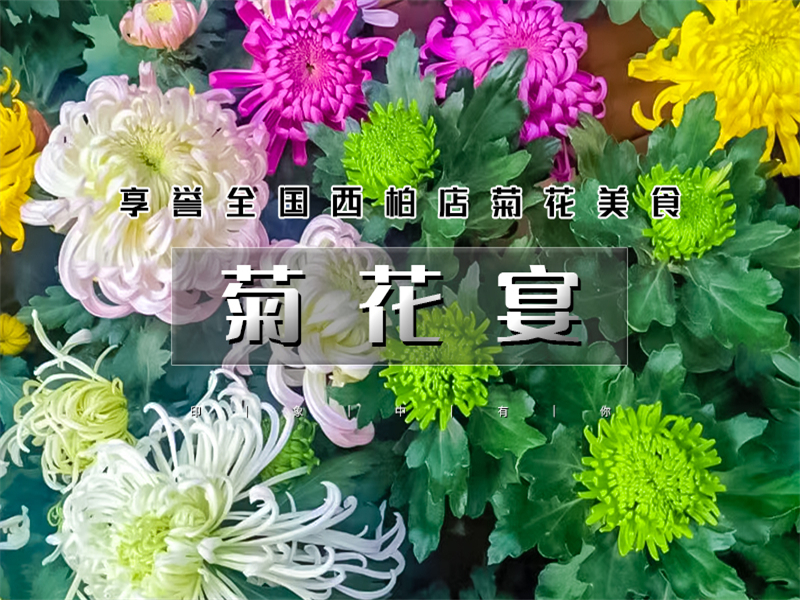 【平谷菊花宴-金海湖步道】菊花美食文化季平谷大兴庄品菊花-金海湖步道赏湖光山色