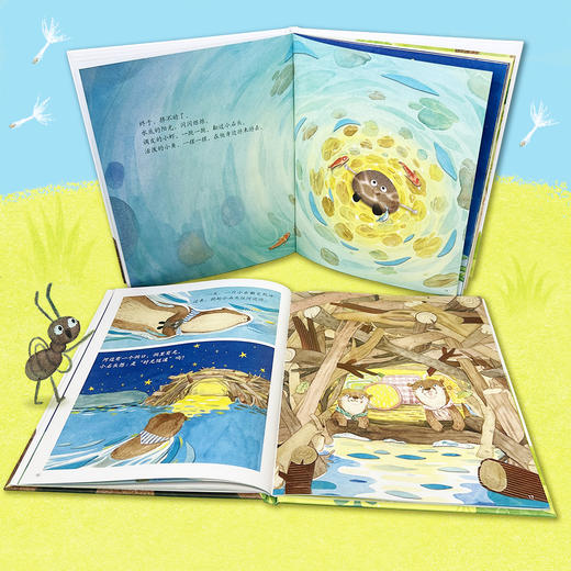 《小石头》以石头视角呈现孩子的成长体验，侧重成长和对世界的想象、认知和探索适读年龄3-6岁 商品图3