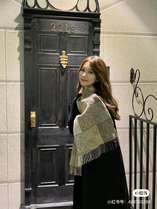 Loewe经典款-奶茶色 商品图0