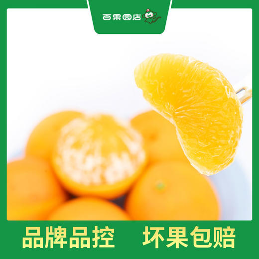 PAGODA百果园 A级-象山红美人蜜柑（中）9粒礼盒装 商品图6