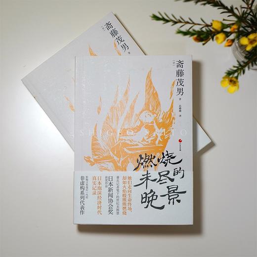 燃烧未尽的晚景 商品图2