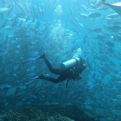 马来西亚仙本那诗巴丹潜水一日游 商品图2