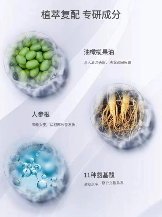 B1F【化洗】布莱氏橄榄洗发水 900ml 商品图1