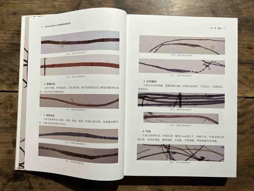 易晓辉签名本《中国古纸与传统手工纸植物纤维显微图谱》，16开，精装，388页，广西师范大学出版社2022年10月一版一印。定价：328.00元，签名本特惠价288元，现货，仅供15册。 商品图8