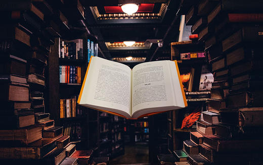 文雅的疯狂 藏书家、书痴以及对书的永恒之爱（美）尼古拉斯·A·巴斯贝恩 著 商品图5