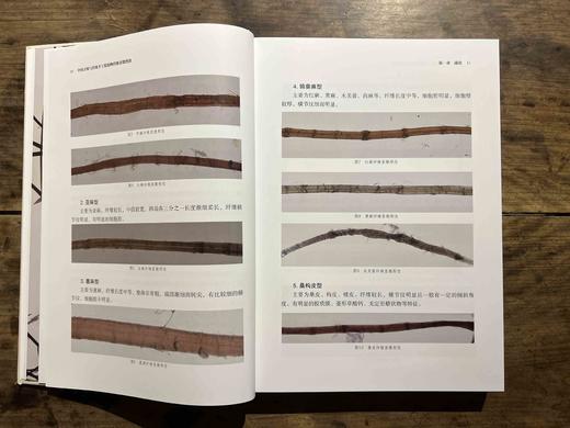 易晓辉签名本《中国古纸与传统手工纸植物纤维显微图谱》，16开，精装，388页，广西师范大学出版社2022年10月一版一印。定价：328.00元，签名本特惠价288元，现货，仅供15册。 商品图7