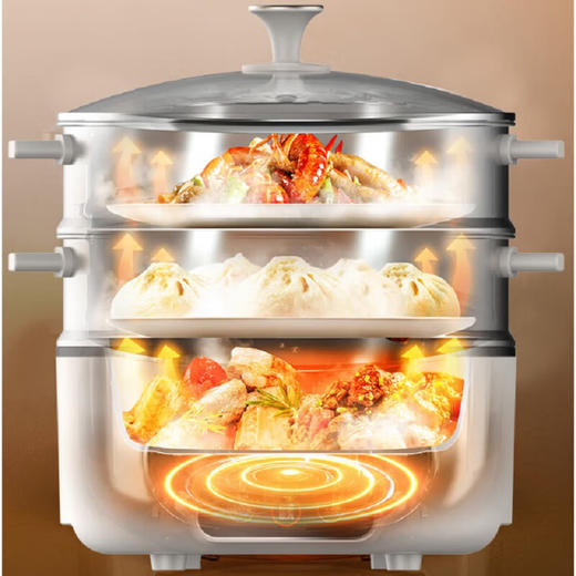 九阳电蒸锅DZ50HG-GZ755 商品图1