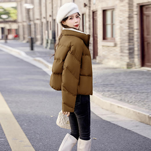 冬季新款，泡芙立领短款白鸭绒羽绒服HR-AQHUI7759 商品图7