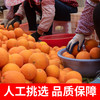 正宗江西赣南寻乌脐橙 橙香浓郁 酸甜爆汁 商品缩略图4