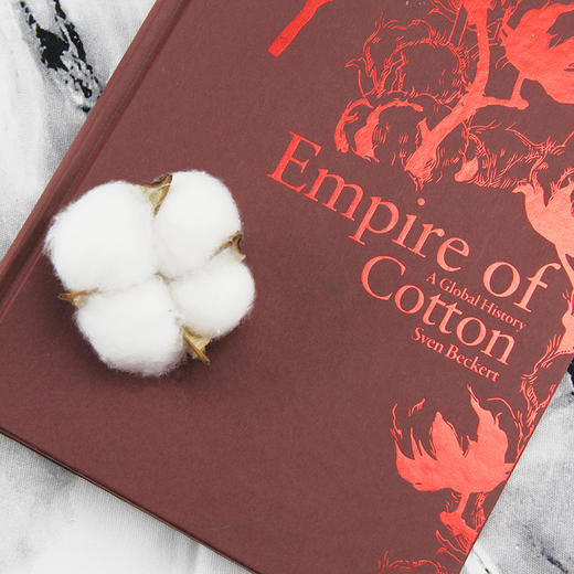 【特价】棉花帝国：一部资本主义全球史（美）斯文·贝克特 著 商品图5