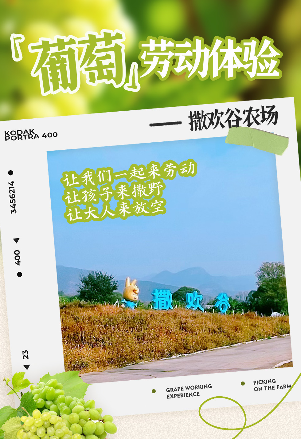 撒欢谷农场 葡萄劳动体验 一起来劳动