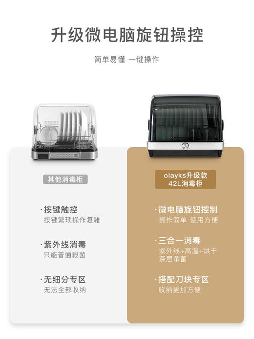 olayks欧莱克出口消毒碗柜小型家用台式消毒柜碗筷餐具茶杯子奶瓶消毒器 商品图1