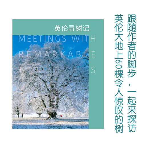英伦寻树记 商品图2