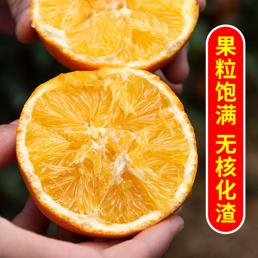 正宗江西赣南寻乌脐橙 橙香浓郁 酸甜爆汁 商品图5