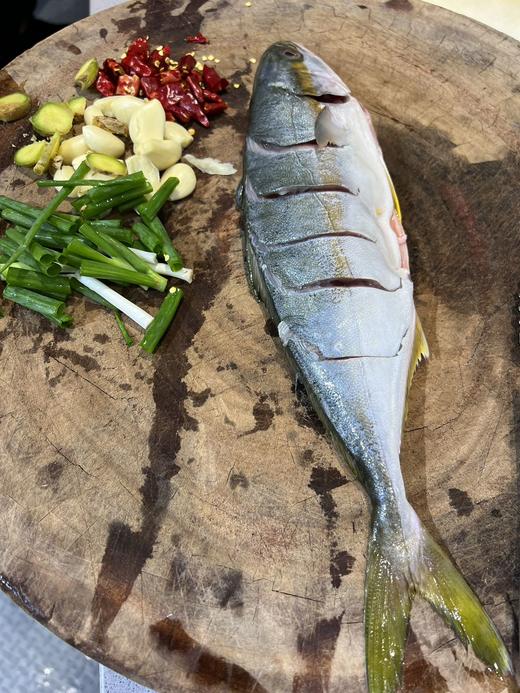 油甘鱼 商品图3