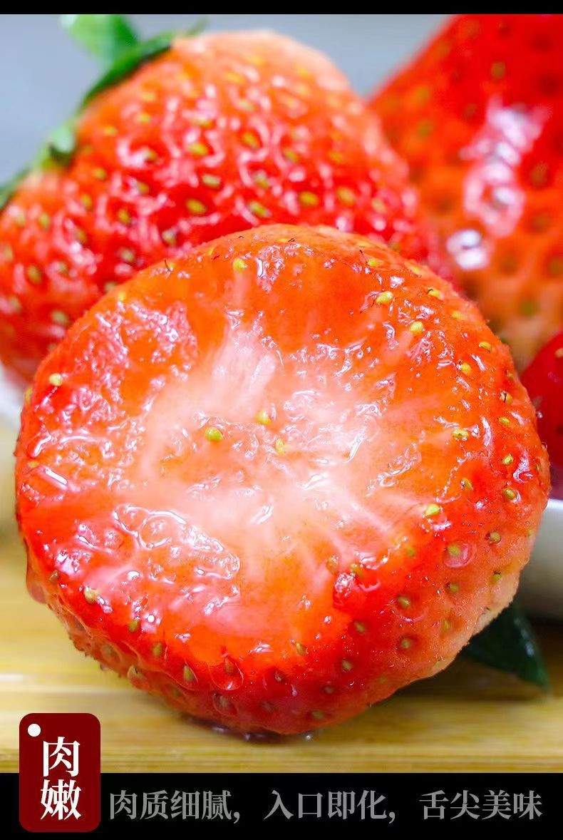 超新鲜的牛奶草莓】入口即化香甜多汁营养丰富 四川应季香梅应季水果