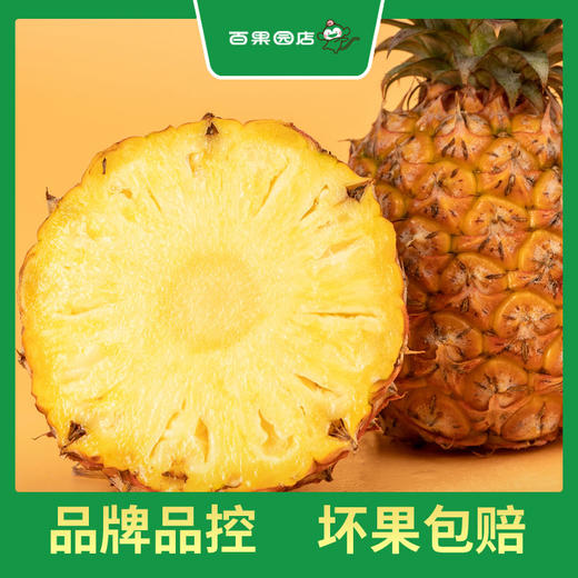 PAGODA百果园 金钻凤梨2粒家庭装（3斤以上） 商品图4
